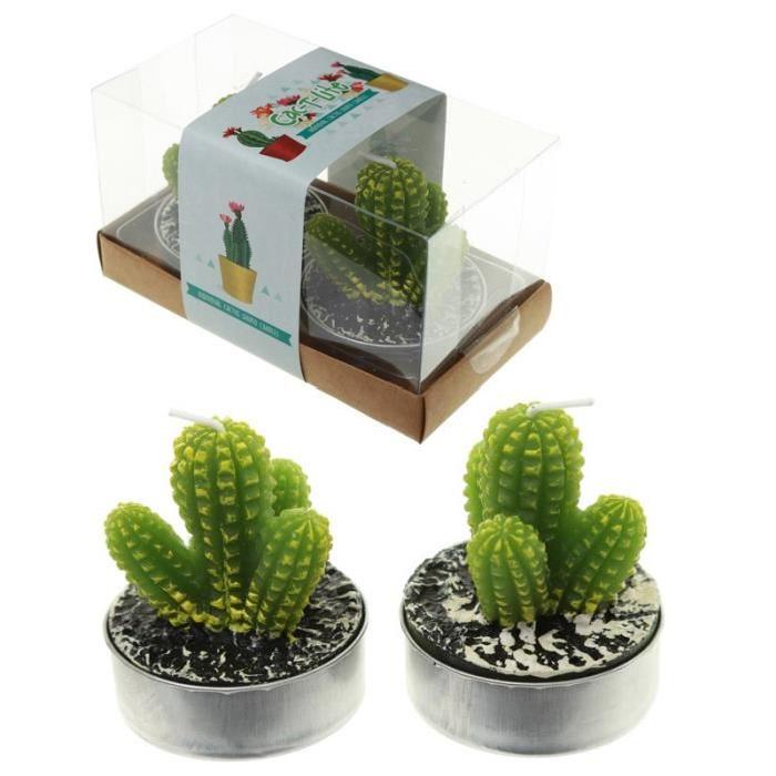 Lot de 2 Bougies - Cactus a Piques