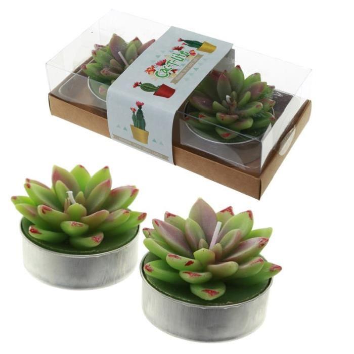 Lot de 2 Bougies - Cactus a Feuilles Ouvertes