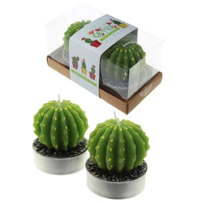 Lot de 2 Bougies - Cactus Unique