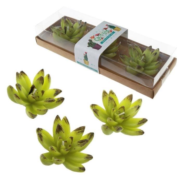 Lot de 3 Bougies - Flottantes Cactus a Feuilles Ouvertes