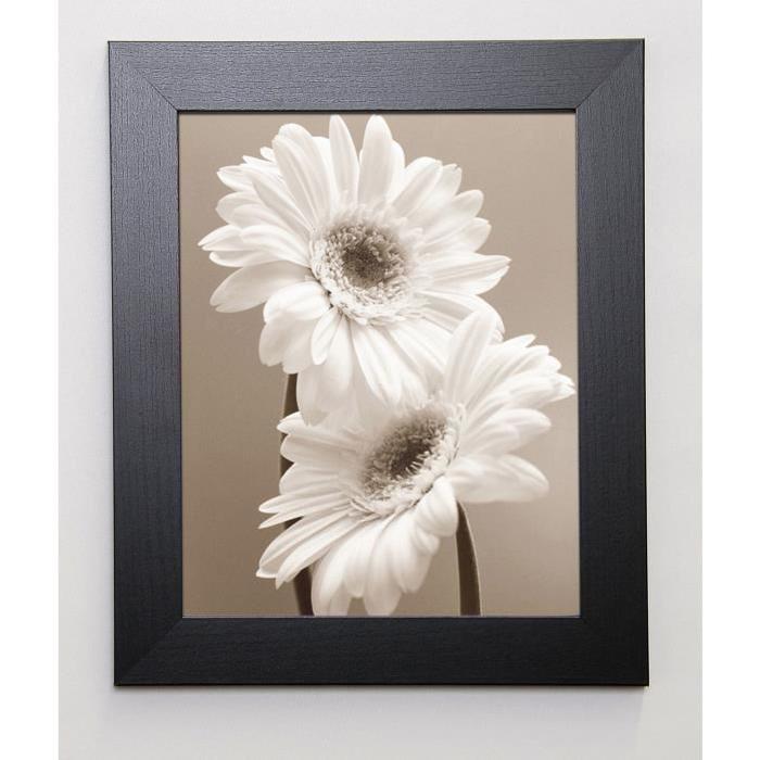 SHARP Image encadrée Two Daisies 31x37 cm Beige